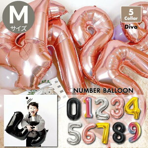 y10͓XSiP5{za o[ t D 60cm      S[h Vo[ ubN C{[ sN 傫D a LO Cxg jJ[ 