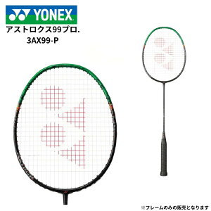 �y���������}���\�������S���i�|�C���g5�{���z YONEX ���l�b�N�X �A�X�g���N�X99�v��.3AX99-P �o�h�~���g�����P�b�g �o�h�~���g�� ���P�b�g �t���[���̂� ��p�P�[�X�t �㋉