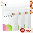 【1/23に発送予定※早まる場合有り】エクエル パウチ 120粒 × 3袋【正規販売店】大塚製薬 3個セット [大塚製薬 エク…