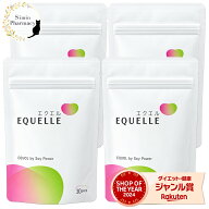 【4個セット】【正規品】大塚製薬 エクエル パウチ 120粒入り × 4個 送料無料［エクエル 大塚製薬 エク…