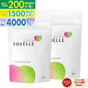 【夏ギフト•お中元200円OFFクーポン利用可】【2個セット】大塚製薬 エクエル パウチ 120粒入り×2個[エクエル 大塚製薬 エクオール 大豆 更年期 乳酸菌 健康 美容 サプリ]■(追跡付)メール便専用商品■正規取扱店【ヤマト】