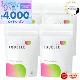 【4個セット】大塚製薬 エクエル パウチ 120粒入り×4個[エクエル 大塚製薬 エクオール 大豆 更年期 乳酸菌 健康 美容 サプリ]■(追跡付)メール便専用商品■正規取扱店【日本郵便】