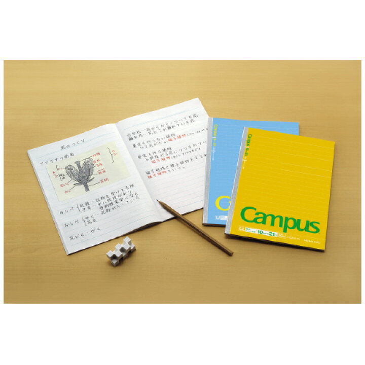 楽天市場 コクヨ ノ ｄ３ｕｌｔｎ キャンパスノート 幅広ドット入り罫線 セミｂ５ 罫幅１０ｍｍ ２１行 ３０枚 シミズ事務機 楽天市場店