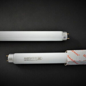 ALEG Hf`ǌu@vFHF32EX-NF10{