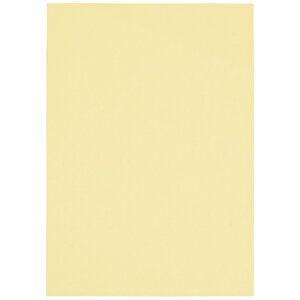 �X�}�[�g�o�����[ �J���[�y�[�p�[����A3�@CREAM1000���@A285J-2