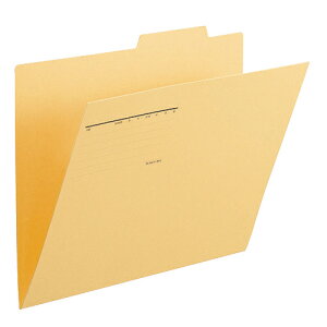 vX ʃtH_[@FL-068IF@B4E@@10