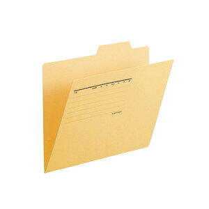 vX ʃtH_[@FL-067IF@B5E@@10