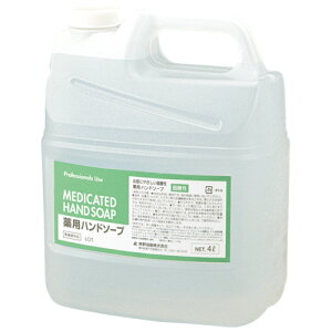 F t@[}ANgt̃nh\[v@Ɩp@4L