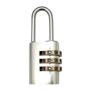 WAKI A~̃JM@3iԍώ@Vo[