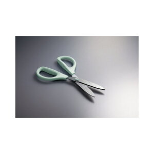 RN KOKUYO nT~uTNTv X^_[hn HSM-A100LB O[w@K