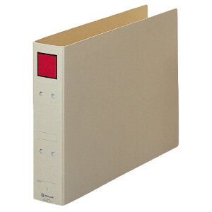 LOW ۑt@C B4 250~Ƃ XNGAFF 4395E O[w@K GR}[N 10pbN