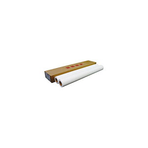 NB 唻CNWFbgpEʎ 841mm×50m A0[ 2{ IJNMSA0 10pbN