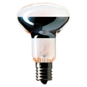 Panasonic ~jtd 40W` E17 LR110V40WS