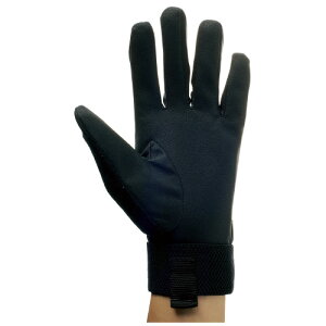 ~^jR[|[V GebN1o LTCY v 209063