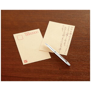 RN KOKUYO tuReEDENv 10 100x148mm X֘gL Z KPSP-R501