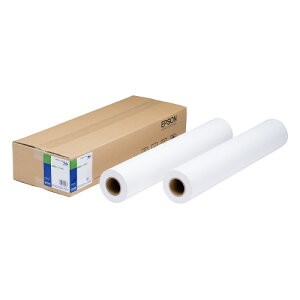 �G�v�\�� EPSON �G�v�\�� ���ʎ����[���u����v ���ʎ����[���^����^44�C���`�^2�{�� EPPP9044