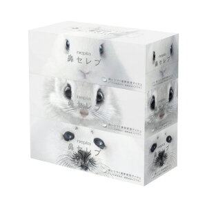 qlsA lsA @ZueBV 200g×3 636078 10pbN