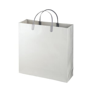 GqH ~l[gobO  O[ 10 W325×H315×D100mm LBS-G