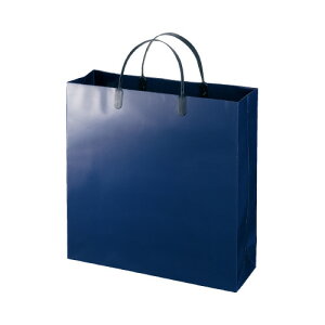 GqH ~l[gobO  lCr[ 10 W325×H315×D100mm LBS-N 10pbN