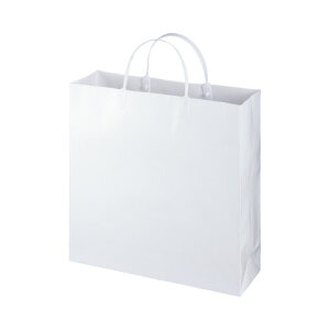 GqH ~l[gobO  zCg 10 W325×H315×D100mm LBS-WH 10pbN