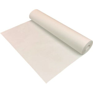 LOR[|[V {[KXy[p[ 538mm×100m CSP003 10pbN