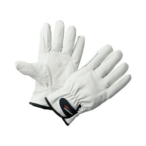 ~^jR[|[V tBbgRtH[g 1o MTCY ȕt؊v 209271