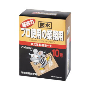 SHIMADA lY~SV[g 10 102843