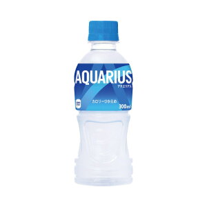 RJER[ ANGAX 300ml×24{ 041221