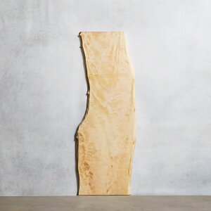 V C e[u fXN ꖇ g` 41×440~590×1600mm