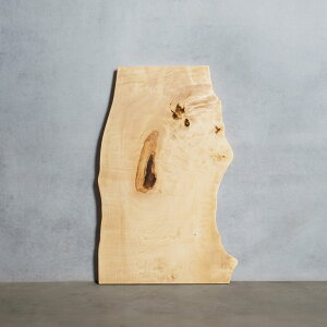 V C e[u fXN ꖇ g` 45×425~650×1025mm