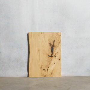 V C e[u fXN ꖇ N 39×515~530×725mm