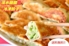 【野菜たっぷりさわやか餃子】年間総売り100万個販売！静岡県清水の町中華！地元に愛され続け、老若男女問わず人気の餃子が冷凍餃子として1ケース40個×2入りで地方発送！小さな町中華・港町清水蘭蘭