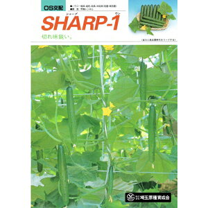 �y�L���E����q�z ��ʌ���琬��@�uSHARP-ONE1�i�V���[�v1�j�v�@�c�����Y�ƒ�؉��p��؂̎킫�イ��̎�