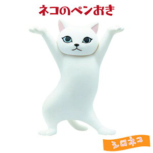 Vi lR̃y g[fBOtBMA VlR K`K` JvZgC