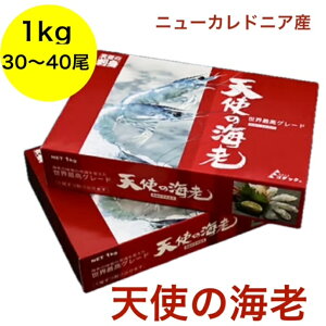 Vg̊CV 1kg (30`40) H hgp Ⓚ  CV j[JhjAY Mtg BBQ [] muΒn