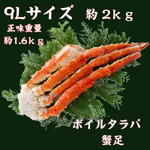 ������ �^���o�K�j �� ���� 1�� ��2kg �����d�ʖ�1.6kg 9L �{�C�� �I�� ���� ���� ����΂��� �N�� ���Ε� �M�t�g