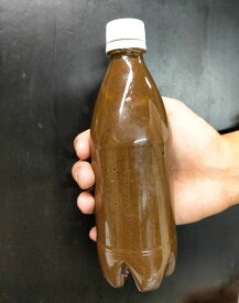 楽天市場 ペットボトル 500ml 熱帯魚 アクアリウム ペット ペットグッズ の通販