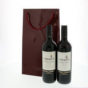 HEIKO 紙袋 手提げ紙袋 ブライトバッグ ワイン2本 エンジ 幅200×マチ100×高365mm 10枚入 業務用 ラッピング シモジマコード006459300