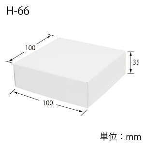 Mtg {bNX 10 n H-66 g gݗĎ VW} HEIKO