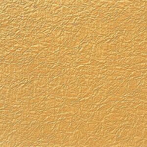 Mtg  5 a ̎q G{X NO.31 y VW} HEIKO