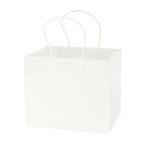 HEIKO 紙袋 手提げ紙袋 Pスムースバッグ 25-19 白無地 幅250×マチ190×高210mm 25枚入 ホワイト 業務用 ラッピング シモジマコード003155300