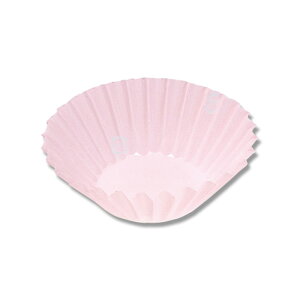 ٓJbv  500 tBP[X PET^Cv 5F pXesN ijH