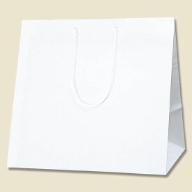 紙袋 手提げ袋 10枚入 白無地サイズ 幅285×マチ280×高さ300mm (S) シモジマ HEIKO
