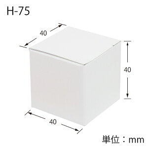 Mtg {bNX 10 n H-75 TbN gݗĎ VW} HEIKO