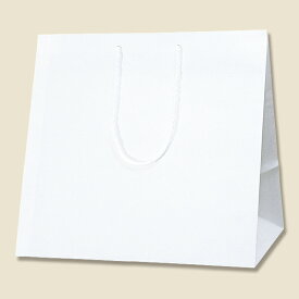 紙袋 手提げ袋 10枚入 白無地サイズ 幅440×マチ295×高さ420mm (L) シモジマ HEIKO
