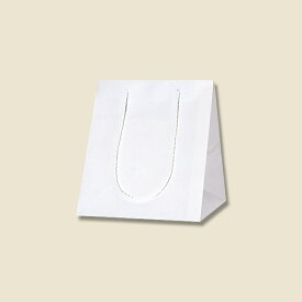 【楽天スーパーセール限定特価】紙袋 手提げ袋 10枚入 白無地サイズ 幅230×マチ230×高さ270mm (SS) シモジマ HEIKO