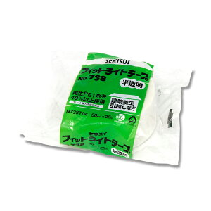 { e[v 1 tBbgCg 50×25 No.738  Se[v ϐwH