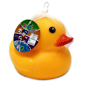 Aq  C 1 ߋ Aq rbN Cxgpi IICV