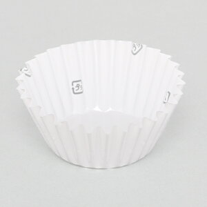 ٓJbv  500 tBP[X PET^Cv 8F zCg ijH