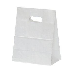 pbN^P}  񂰎 蔲 XZT52001 C[Obv M n 180×105×225mm 50 zCg Ɩp bsO VW}R[h004071132